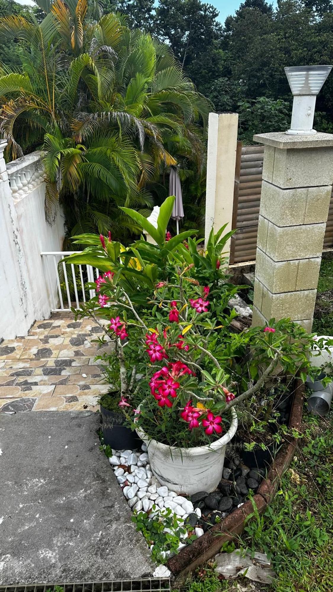 Chez Francis Apartment Petit-Bourg Ngoại thất bức ảnh