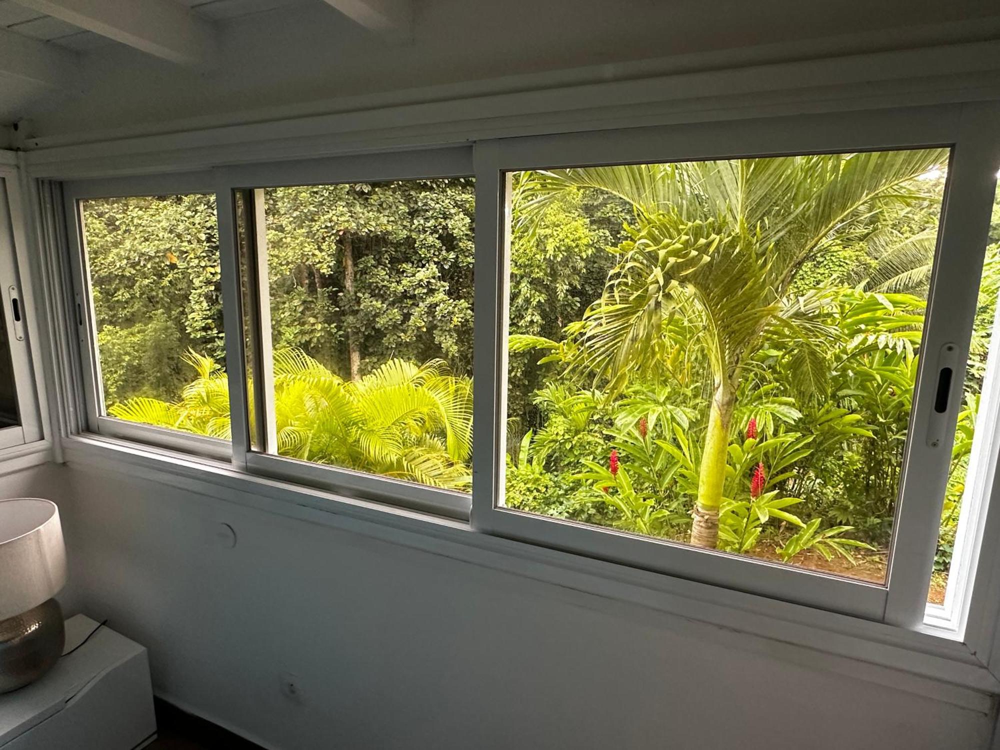 Chez Francis Apartment Petit-Bourg Ngoại thất bức ảnh